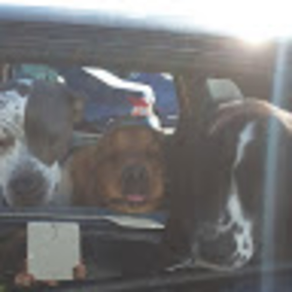 Meet your Posher, Angela